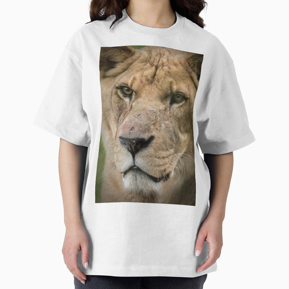 Lion by Conservation Art Emporium