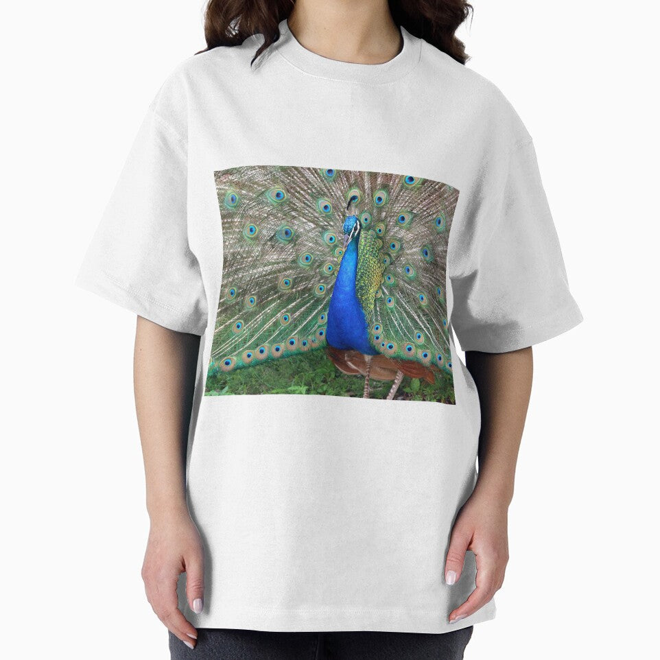 PEACOCK by TomBaumker