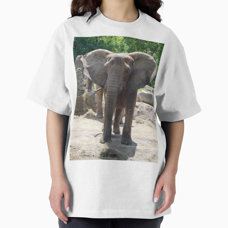 African Elephant by priesterjen