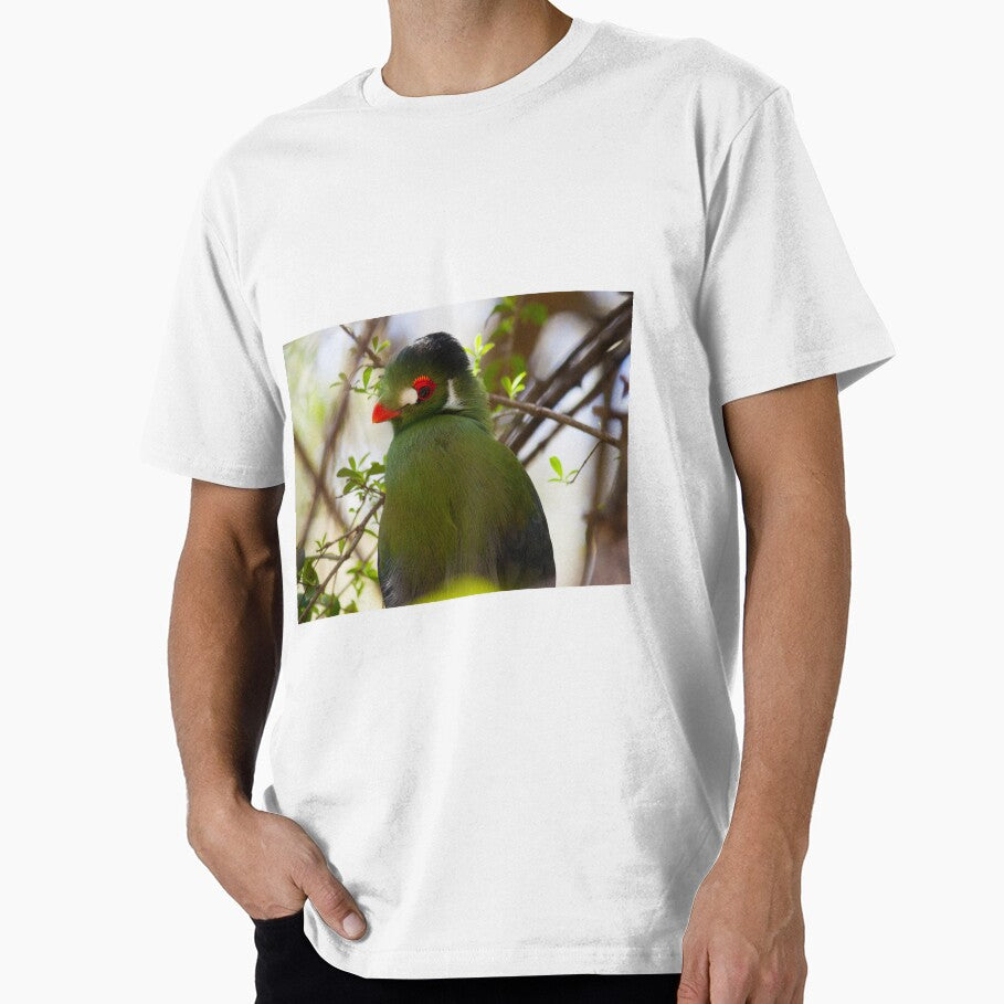 Turaco by Jacquelie
